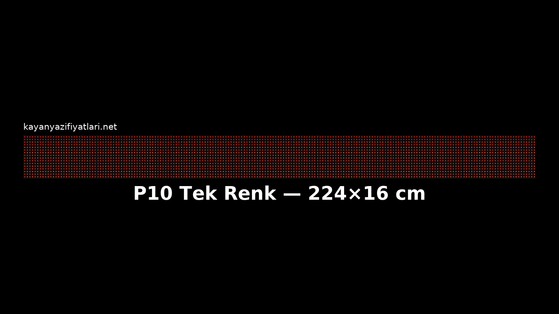 P10 Tek Renk 224×16